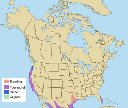 range map for white-tailed kites