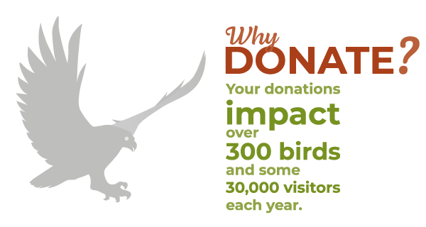 Donate to Cascades Raptor Center