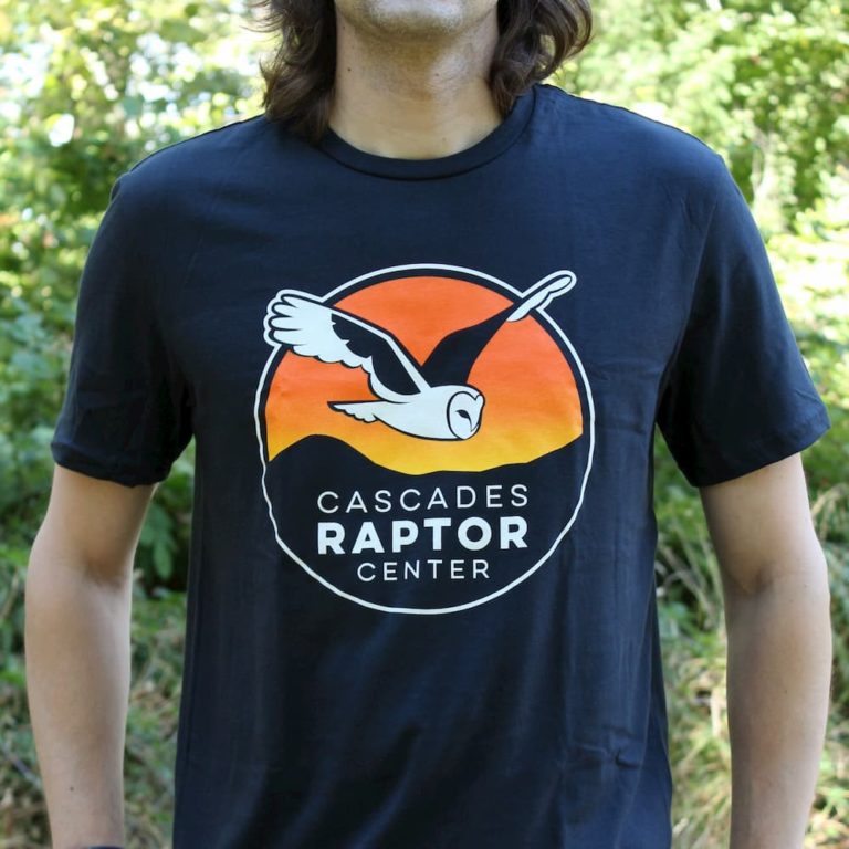 raptors tshirts