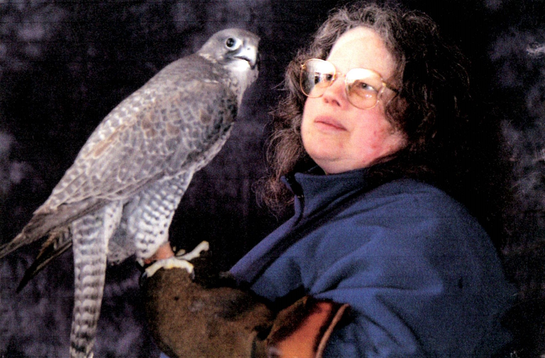 Picture of Louise Shimmel holding a gyrfalcon