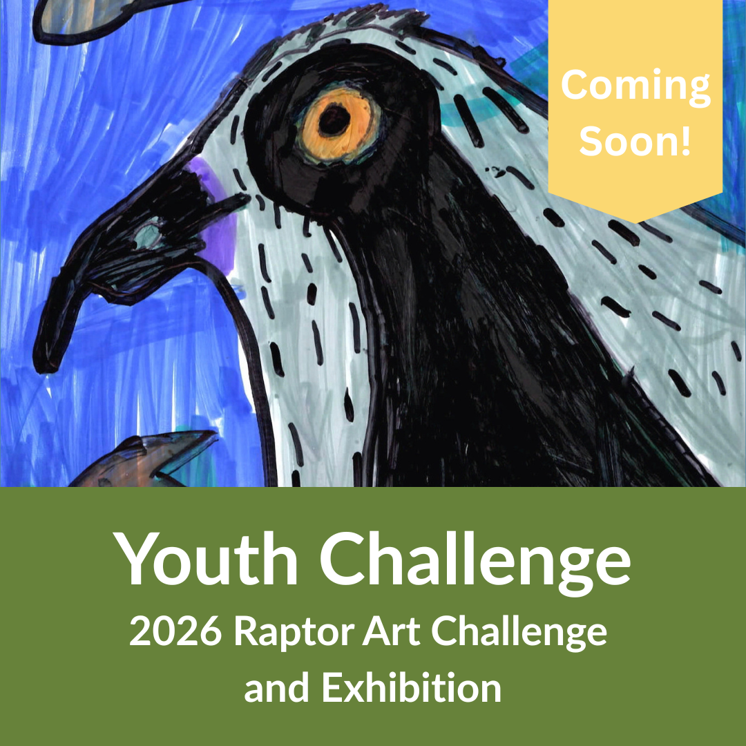 2026 Youth Art Challenge