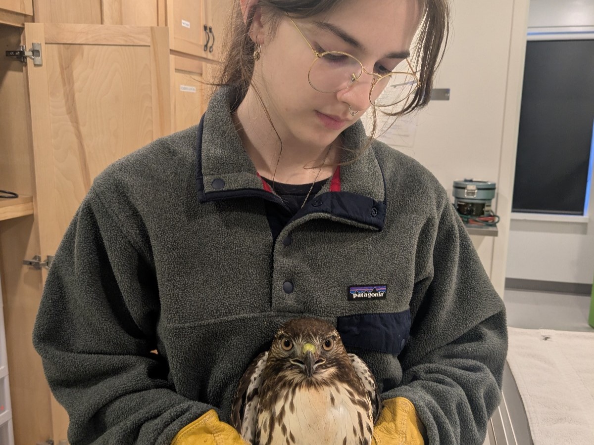 IMG-20250305-WA0001 - Copy