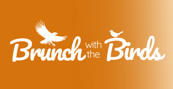 Brunch with the Birds event icon